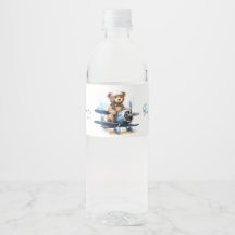 Teddybjörn Flygplan Akvarell Pojke Bebis Shower
