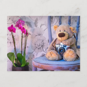 Teddybjörn med kamera vykort