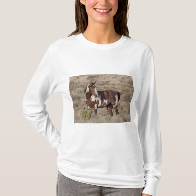  TEE (Framsida)