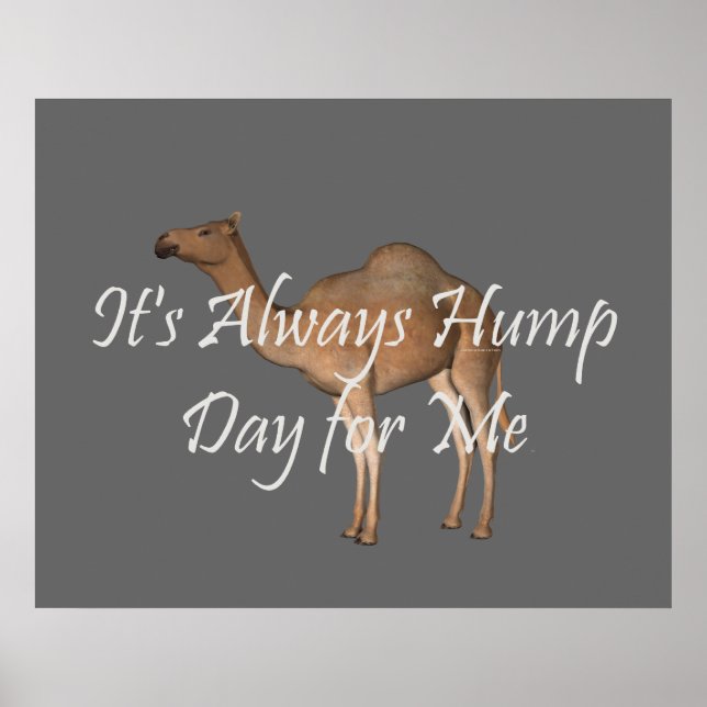 TEE Hump Day Poster (Framsidan)