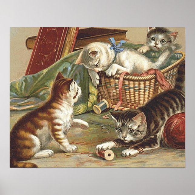 TEE Nyfiken Katt Poster (Framsidan)