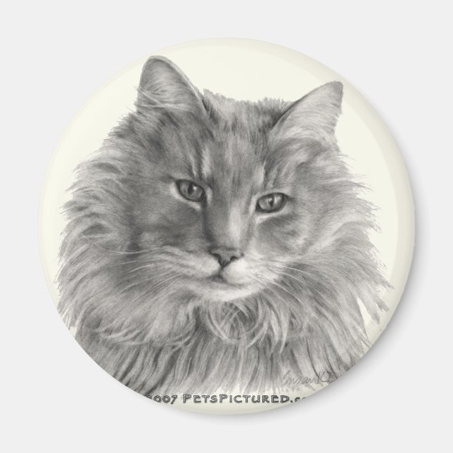 TeeGee, långfristigt Grått-katt Magnet (Framsidan)