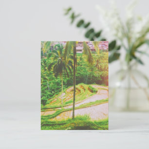 Tegalalang Ris Terrace - Bali - Indonesien Vykort