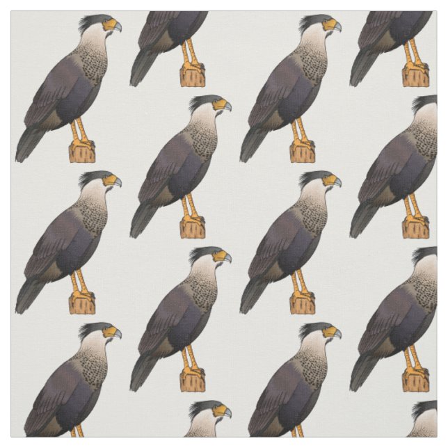 Tegnad illustration av tofskarakara tyg (Provkarta)