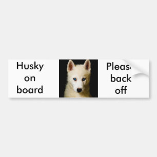 Tehya - siberian husky bildekal