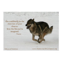 Tehya vid Freedom Wolfleection Poster