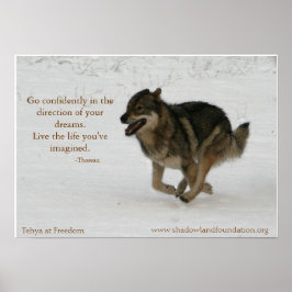 Tehya vid Freedom Wolfleection Poster