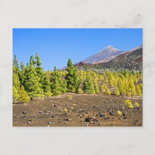 Teide nationalpark Landcape på Tenerife Vykort