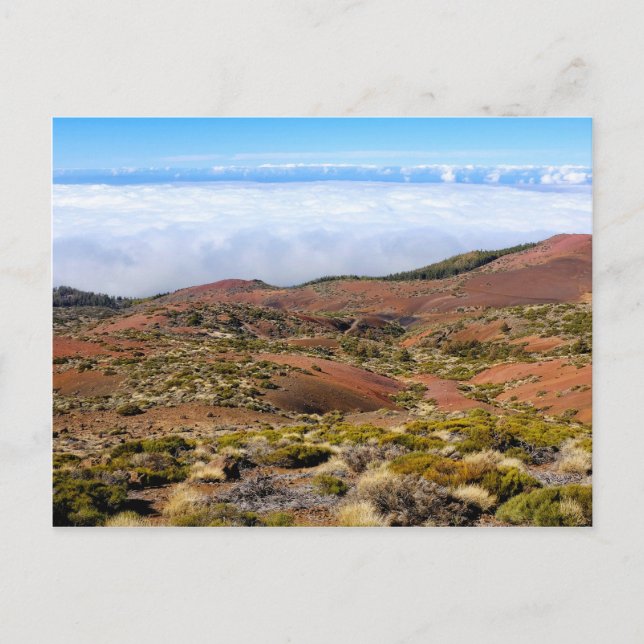 Teide nationalpark vykort (Framsida)
