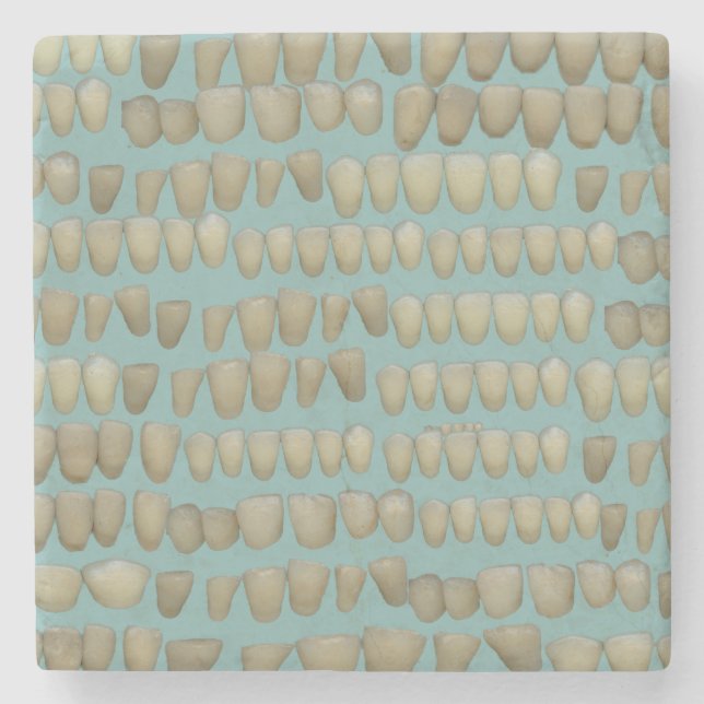 Tejens ruttna tänder Dentist Tandvård Orthodontist Underlägg Sten (Framsidan)