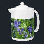 Tekanna av druvhyacint<br><div class="desc">De här gulliga blåa graphyacinerna eller Muscari växer i min Garden.</div>