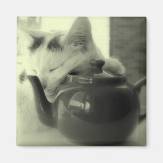 Tekanna Pillow Magnet