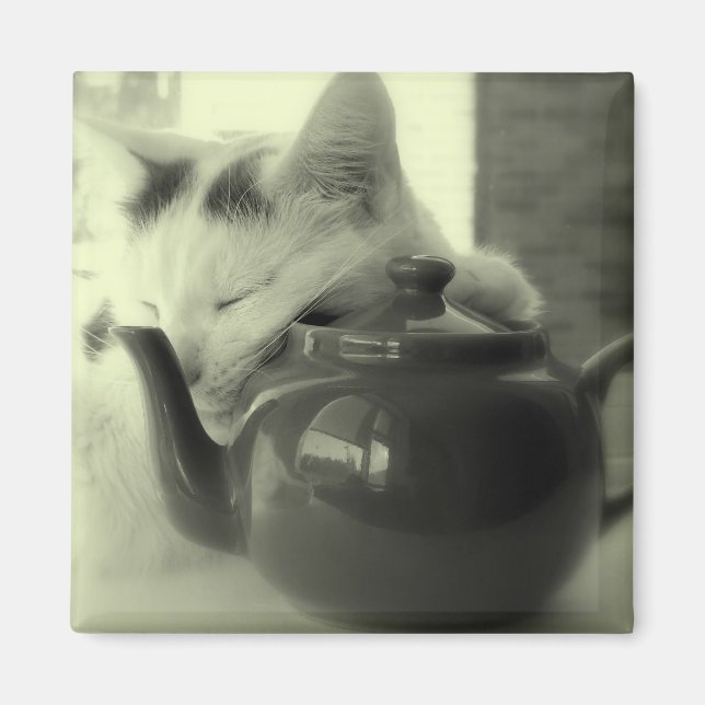 Tekanna Pillow Magnet (Framsidan)