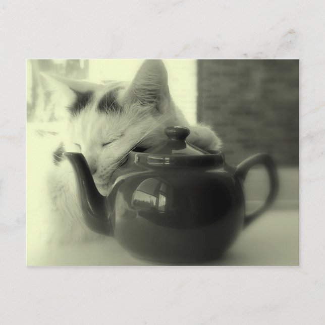 Tekannan kudder vykort (Framsida)