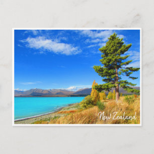tekapo new zealand vykort