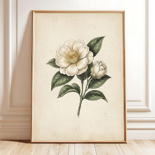 Teknisk blomster vintage botanisk tryckkonst poster