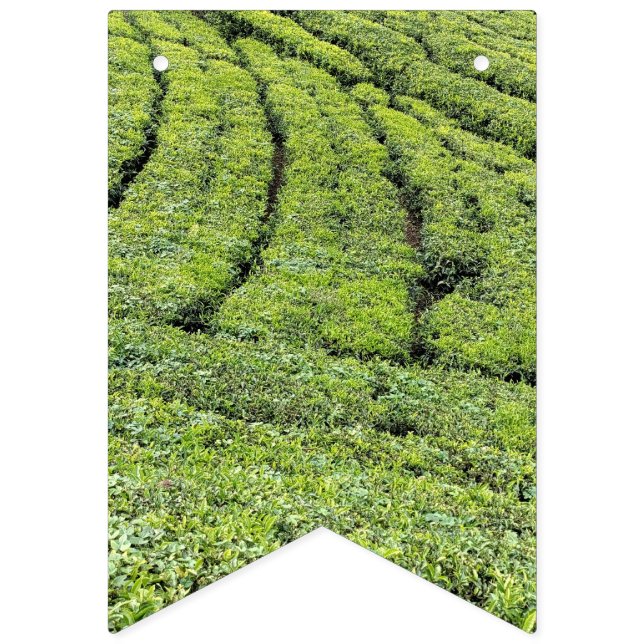 Tekodlingar i Munnar på flaggor (Första flaggan)