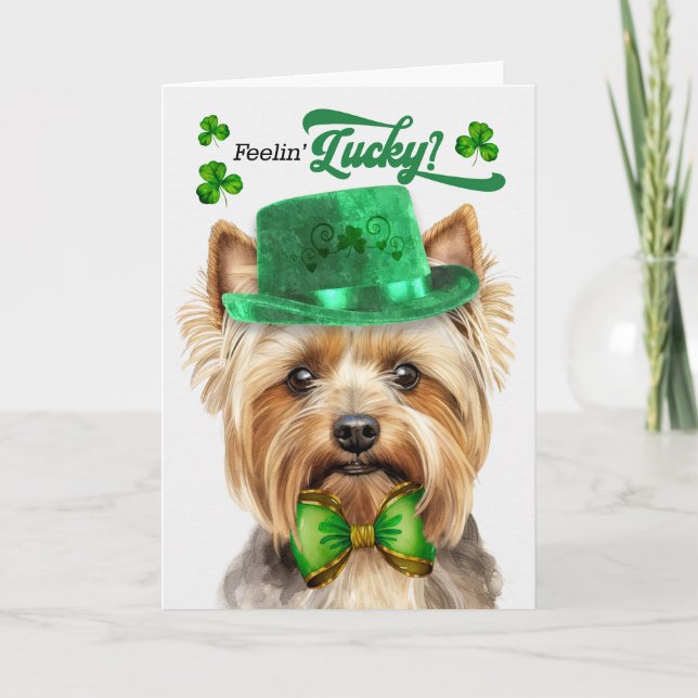 Tekopp Yorkie Hund Feelin' Lucky St patrick's day Helgkort (Framsida)