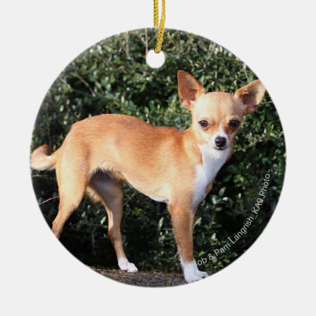 TekoppChihuahuavalp Julgransprydnad Keramik (Framsidan)