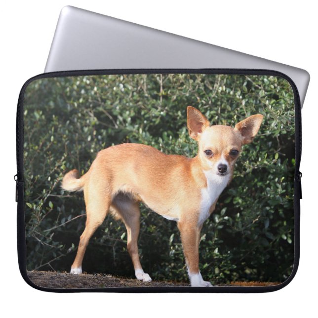 TekoppChihuahuavalp Laptop Sleeve (Framsidan)