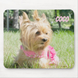 Tekopps Yorkie Musmattor