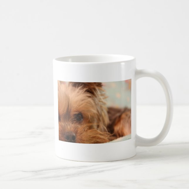 tekoppyorkievalp kaffemugg (Höger)
