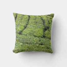 Tekushåll i Munnar på 