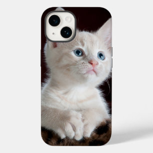Telefon 14 fodral cat kärlek