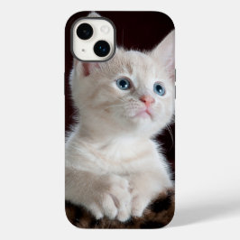Telefon 14 fodral plus katt kärlek