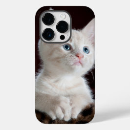 Telefon 14 fodral pro cat kärlek
