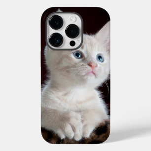 Telefon 14 fodral pro cat kärlek