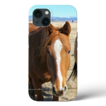 Telefonärenden för häst