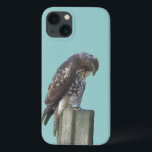 Telefonväska - Falcon<br><div class="desc">Brun och vit falk gick på posten.</div>