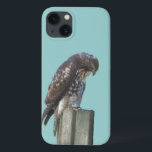 Telefonväska - Falcon<br><div class="desc">Brun och vit falk gick på posten.</div>