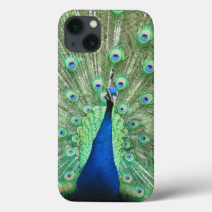 Telefonväska - Proud Peacock