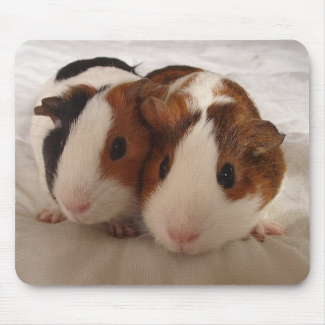 Telmha & louise musmatta (Framsidan)