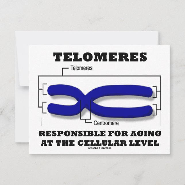 Telomerer med ansvar för åldrande på cellulär nivå kort (Framsida)