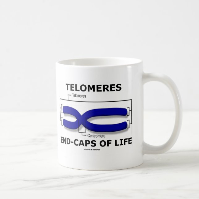Telomeres Avsluta-Lock av liv (biologihumorn) Kaffemugg (Höger)