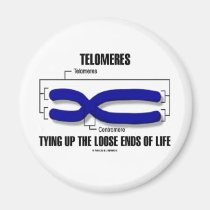 Telomeres som binder upp det löst, avslutar av li magnet