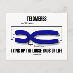 Telomeres som sliter upp livets lösa ändar vykort