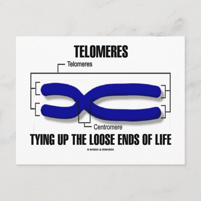 Telomeres som sliter upp livets lösa ändar vykort (Framsida)