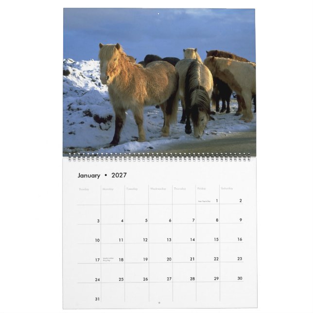 Tema för 2010 hästar för kalender isländskt (Jan 2027)