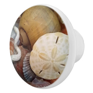 Tema för strand för snäckskalSanddollar Knopp