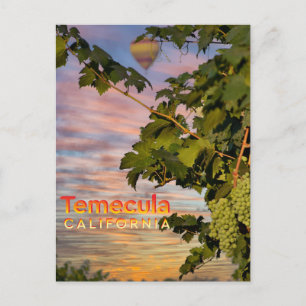 Temecula Vin Land vykort Grapevine