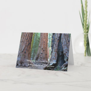 Tempel av dungarna - sakrala Sequoiaträd, Kort