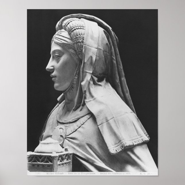 Temperaturchef Poster (Framsidan)