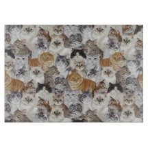 Tempererat glas av kattglas