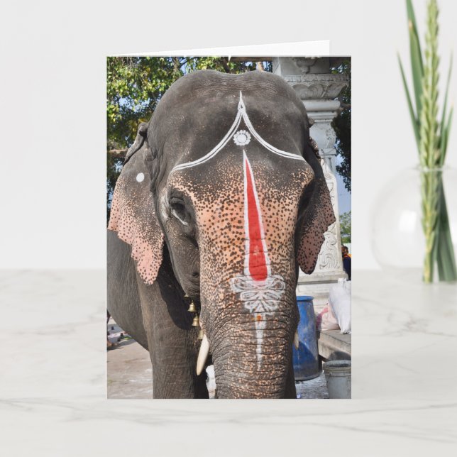 Temple Elephant Kort (Framsida)