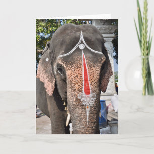 Temple Elephant Kort