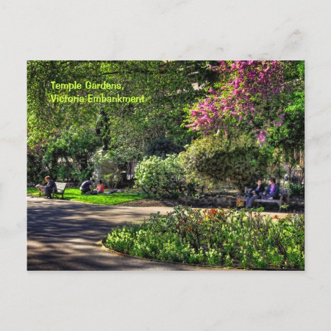 Temple Gardens, Victoria Embankment, London Vykort (Framsida)
